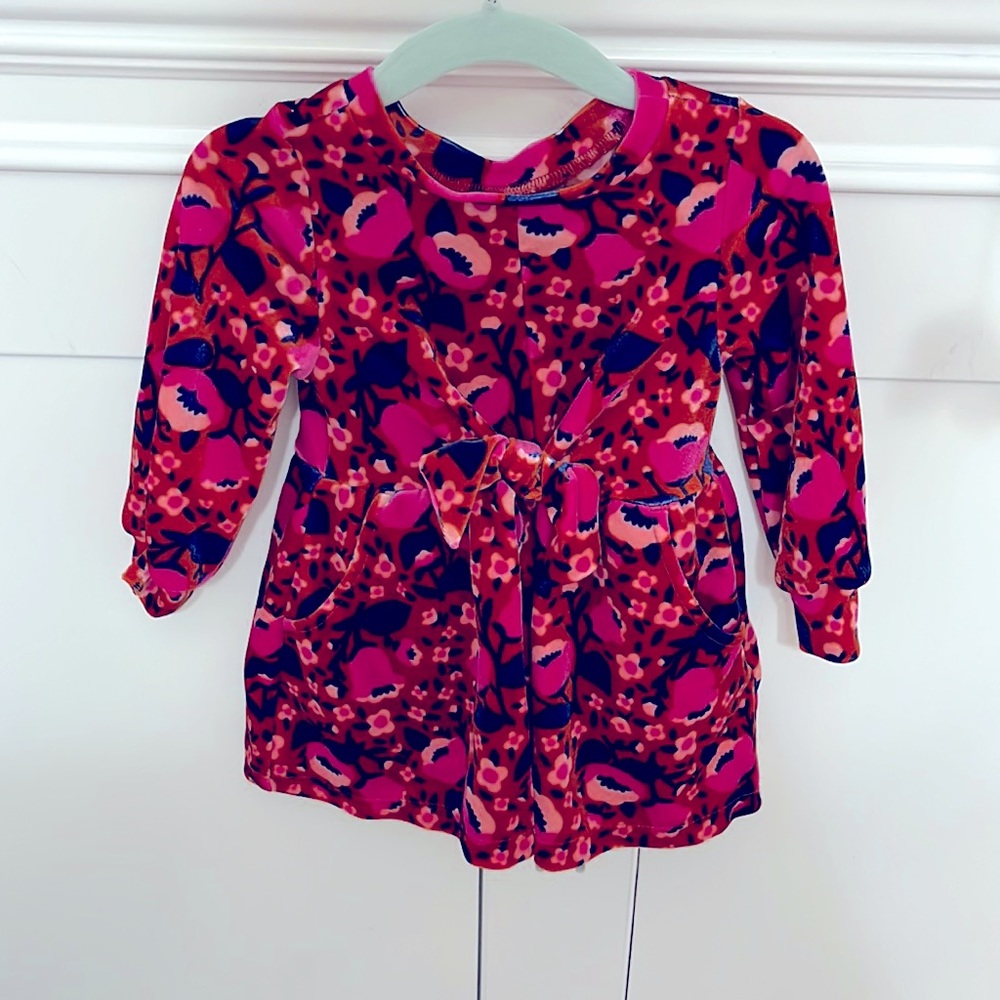 Velvet Baby Dress